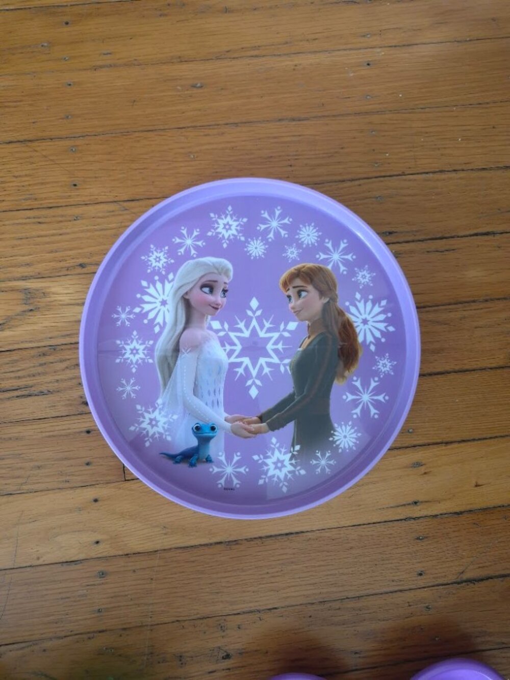 Frozen Child's Dinner Plate by Zak